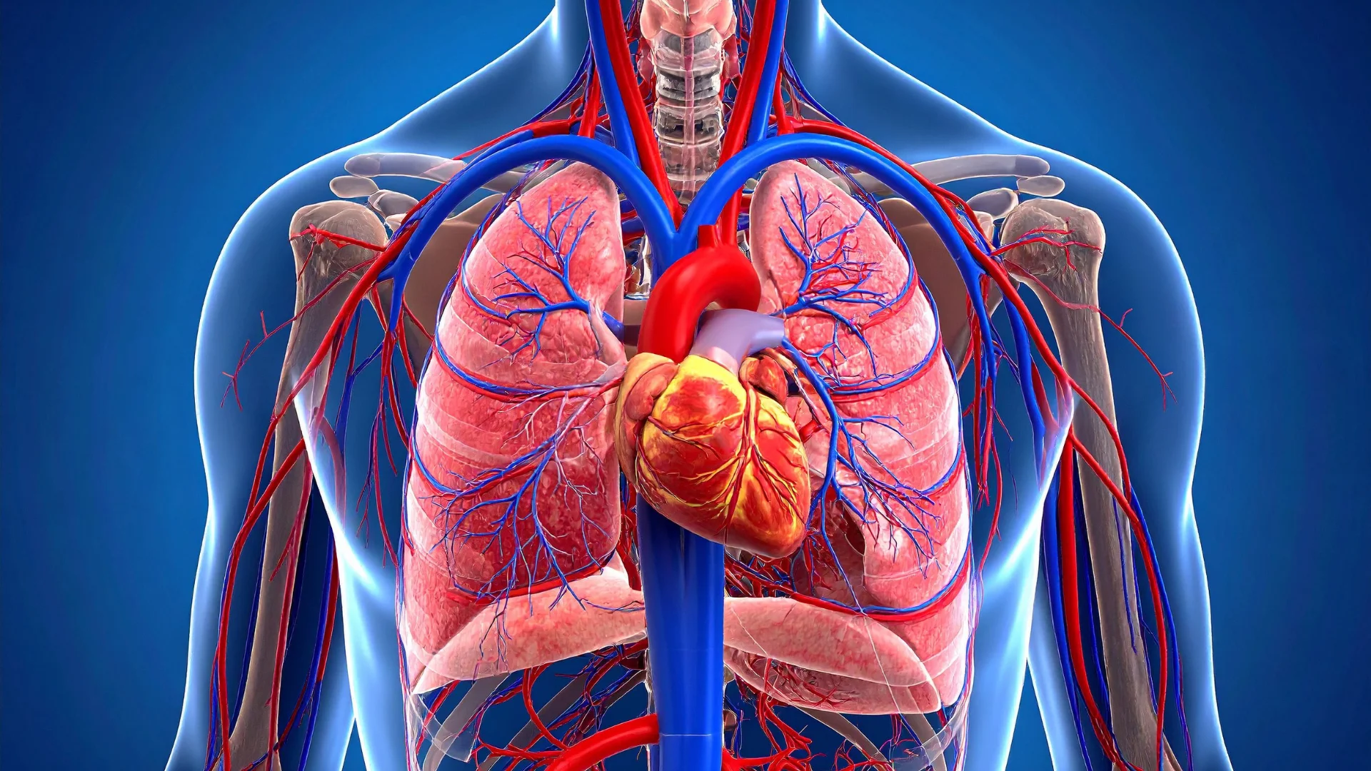 Cardiovascular Disease