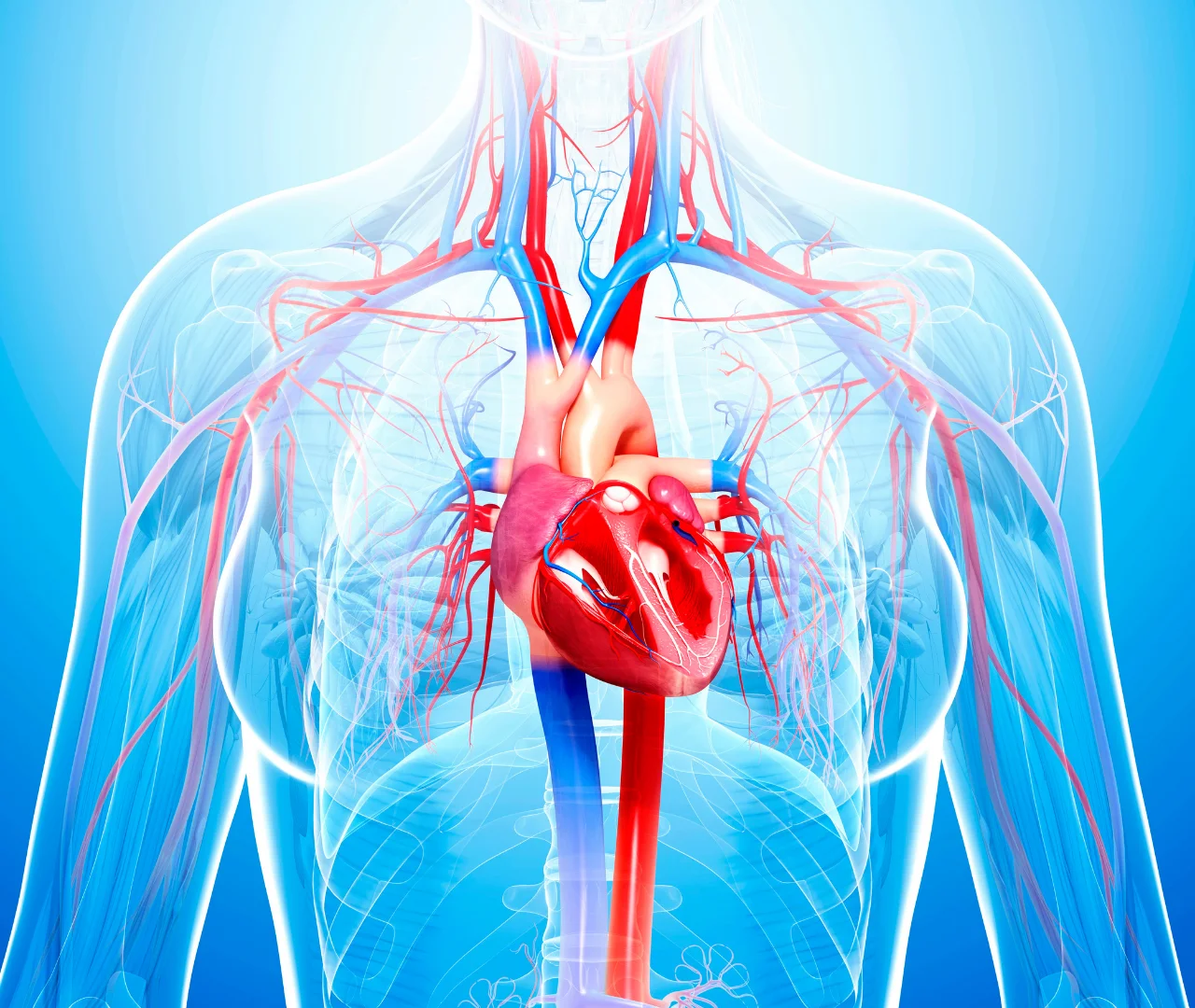Stem Cell Therapy for Cardiovascular