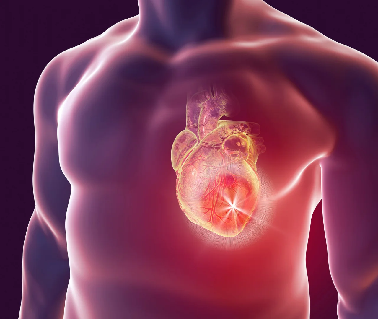 Cardiovascular Treatment Journey