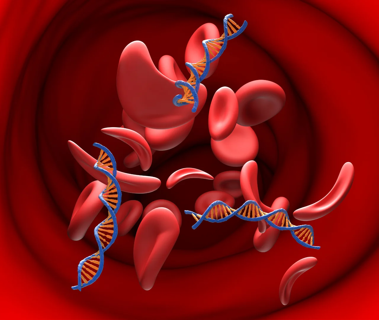Cardiovascular Follow-Up