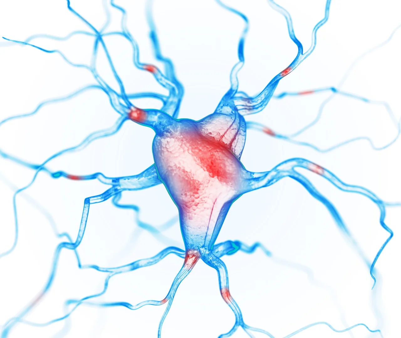 Neuropathy Treatment Journey